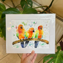 Load image into Gallery viewer, Colourful Birds