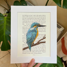 Load image into Gallery viewer, Kingfisher