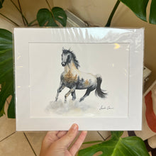 Load image into Gallery viewer, Wild Horse