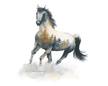Load image into Gallery viewer, Wild Horse