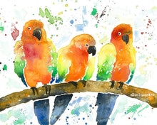 Load image into Gallery viewer, Colourful Birds