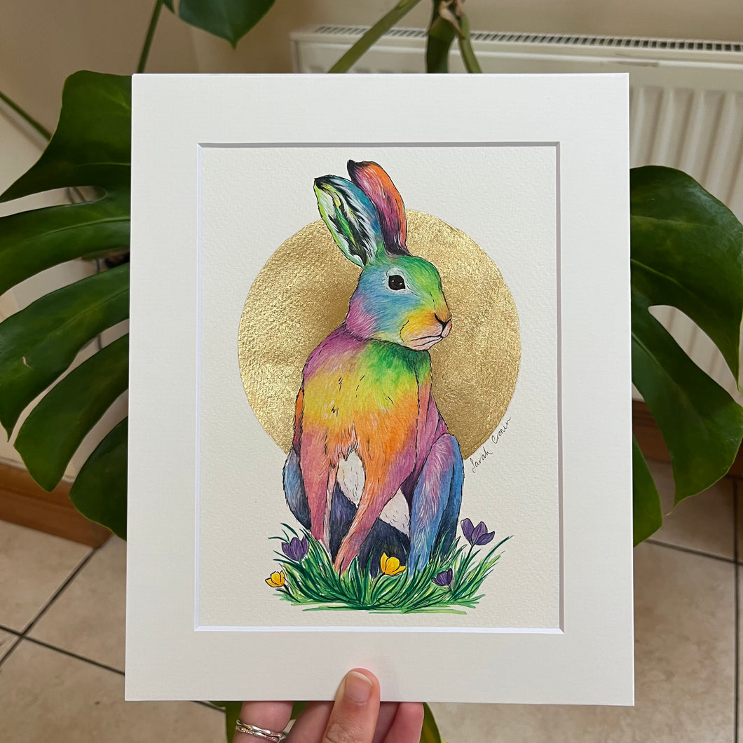 Irish Hare