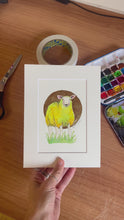 Load and play video in Gallery viewer, Sheep
