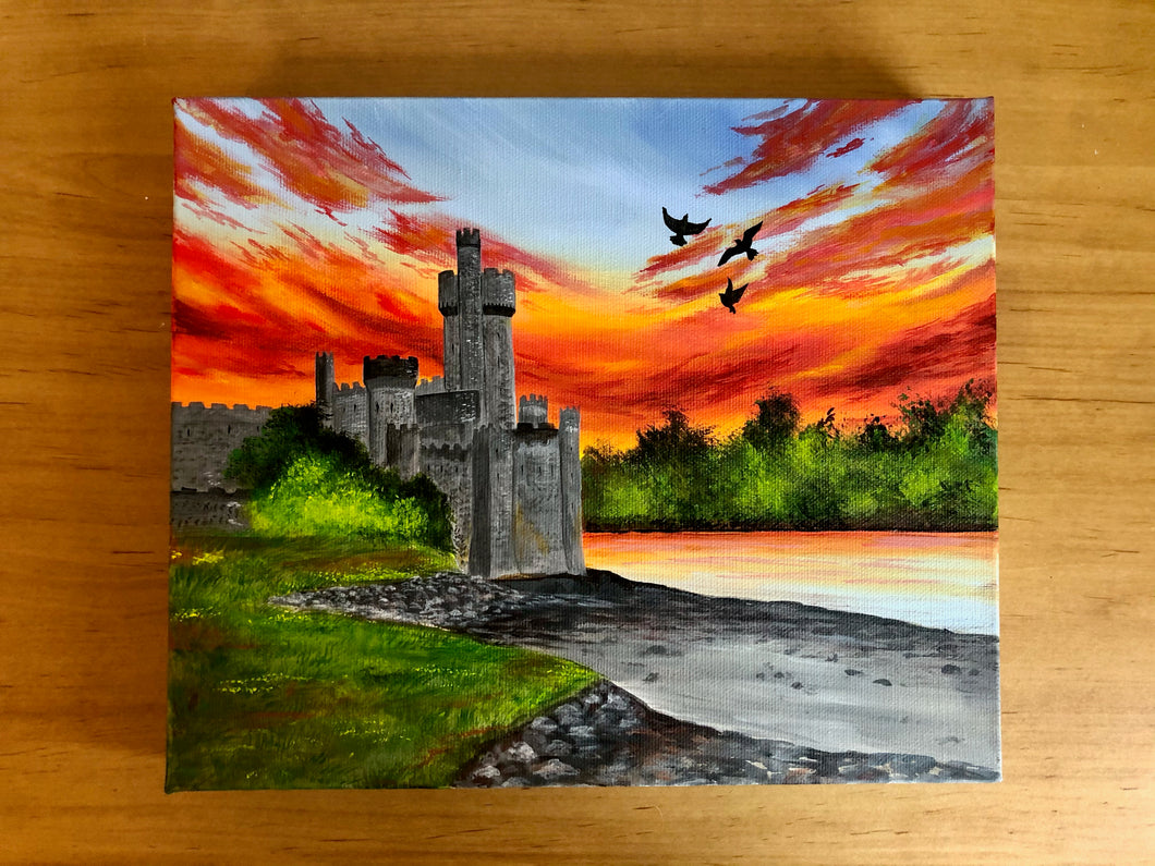 Blackrock Castle Observatory, County Cork
