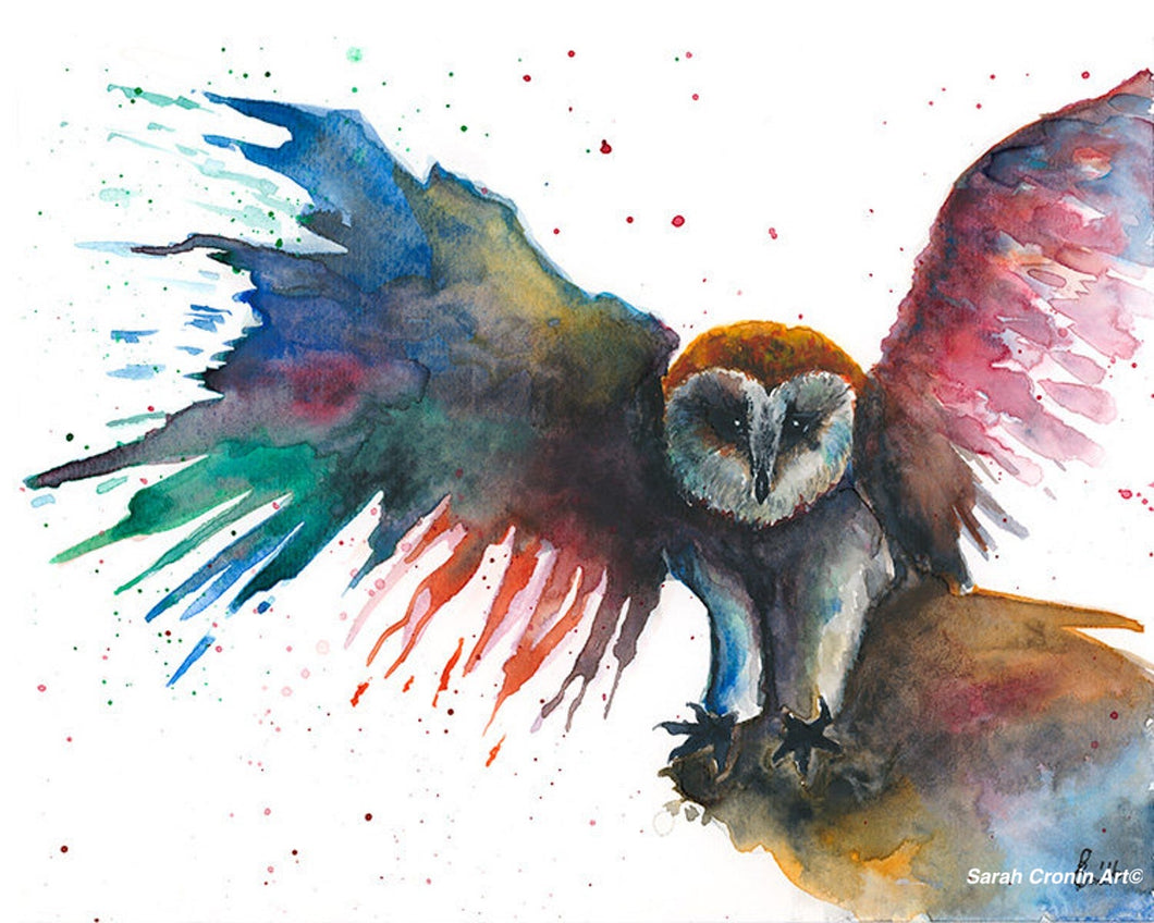 Colourful Owl