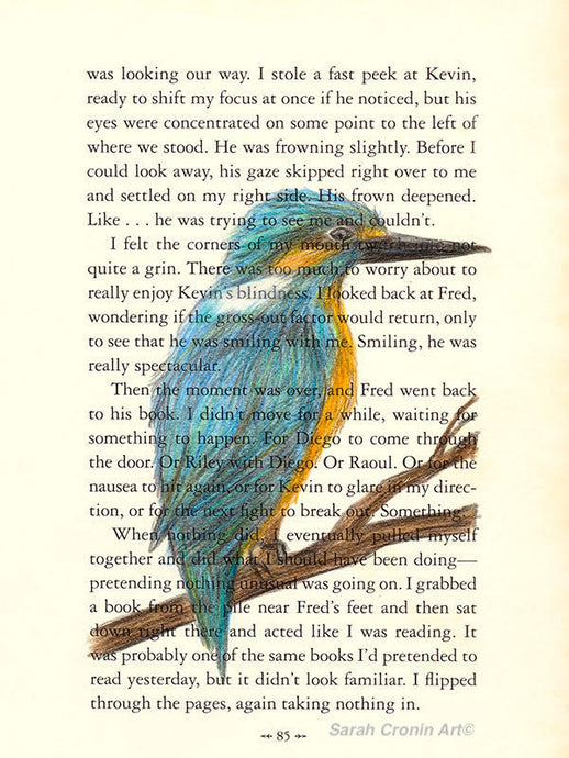 Kingfisher bird sketched in colour on a book page