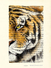 Load image into Gallery viewer, Half a Tiger face painted using watercolour on a book page
