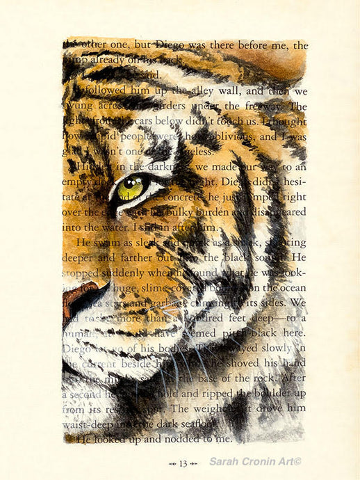 Half a Tiger face painted using watercolour on a book page
